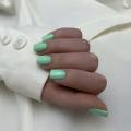 Гель-лак NailsOfTheDay Let's special Mint / 241,10 мл